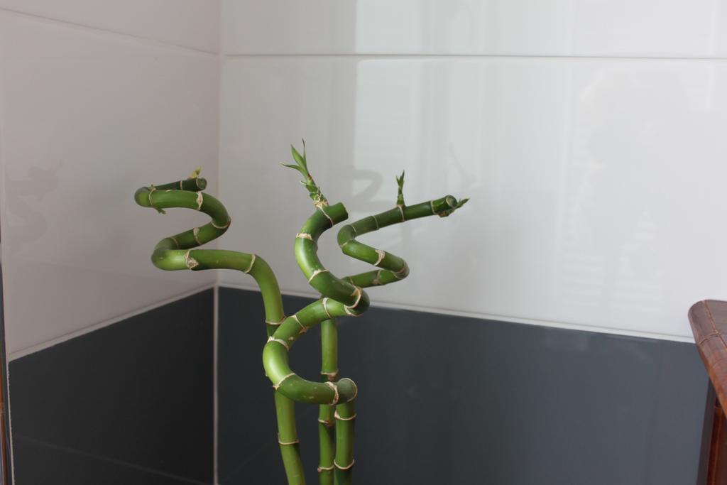 Au Coeur De Beauvais Bed & Breakfast ภายนอก รูปภาพ